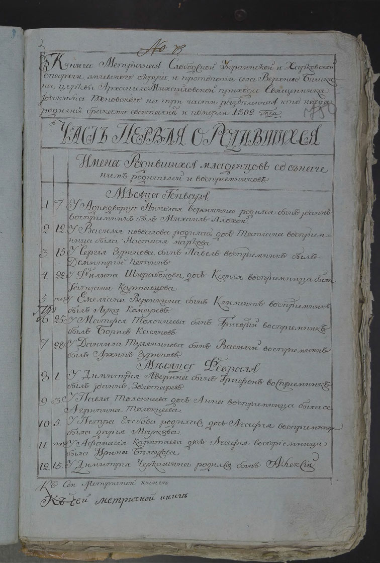 Метрическая книга Архангело-Михайловской церкви села Верхний Бишкин за 1802 год