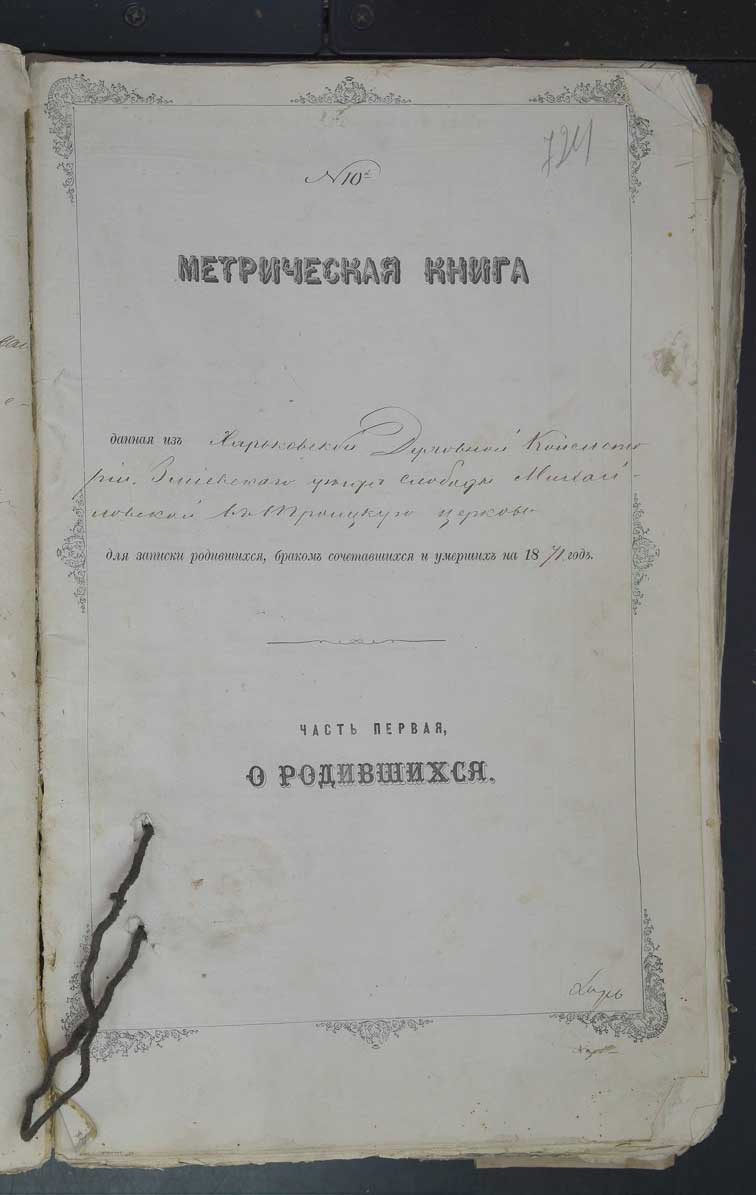Метрические книги Михайловки за 1871 год