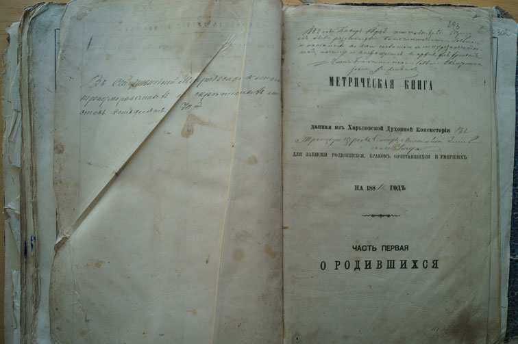 Метрическая книга Михайловки за 1881 год