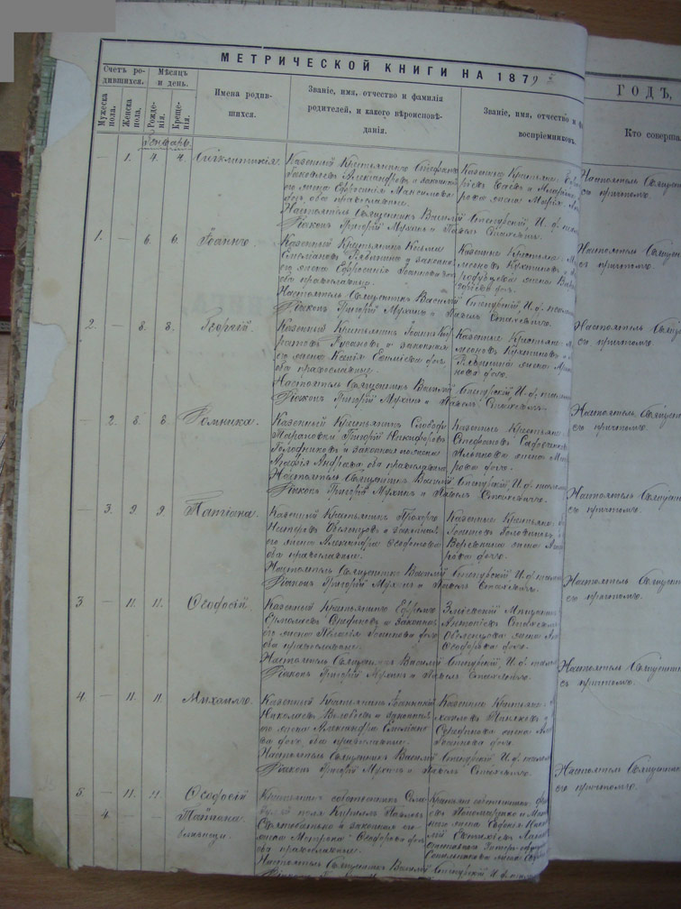 Метрическая книга Троицкой церкви села Охочее за 1879 год