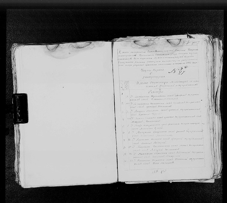 Метрическая книга Архангело-Михайловской церкви села Верхний Бишкин за 1793 год